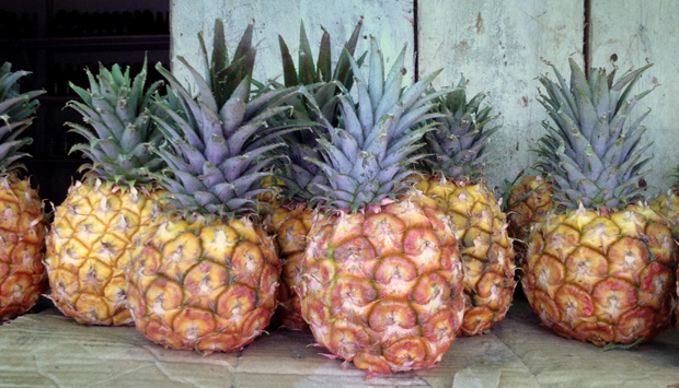 pineapples_web